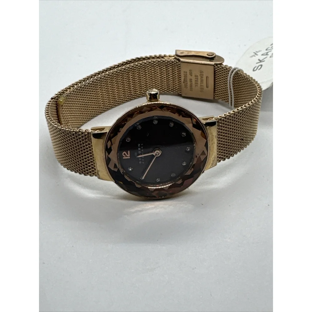 Skagen Leonora 456SRR1 Womens Rose Gold-Tone Steel Mesh Analog Dial Watch AEA155